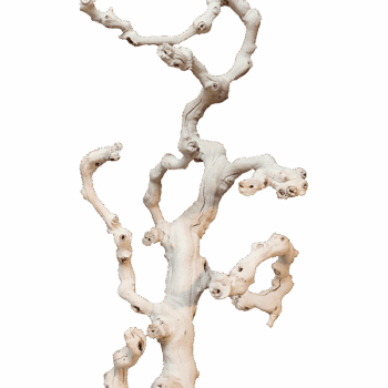 Decowood Grapewood sandblasted branchy