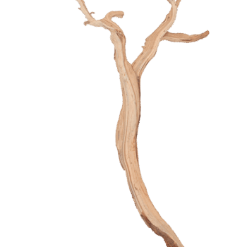 Decowood Ghostwood sandblasted