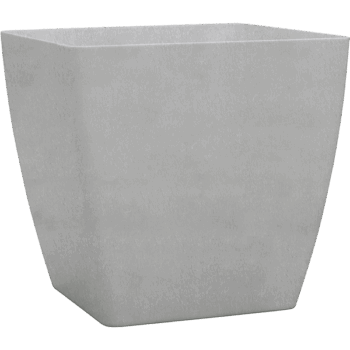 Baq Ecoline Phoenix Regular Cube