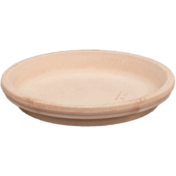 Terra Cotta Saucer Antiques