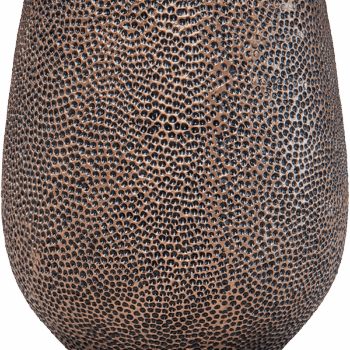 Baq Opus Hit Darcy Gold (with liner)