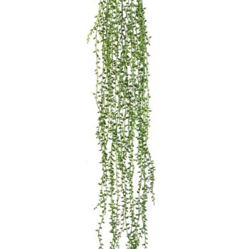 String of small pearls