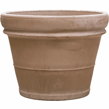 Terra Cotta Doppio Bordo Grey