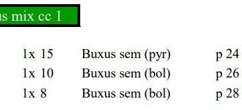 Buxus sempervirens Mix cc 1
