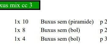 Buxus sempervirens Mix cc 3