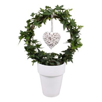 Hedera boog+hart in keramiek