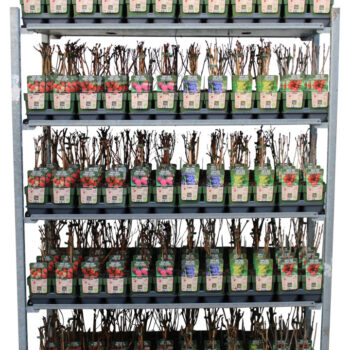 Fruit mix laag bio standaard P13