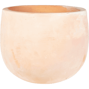 Terra Cotta Omar Pot Terra