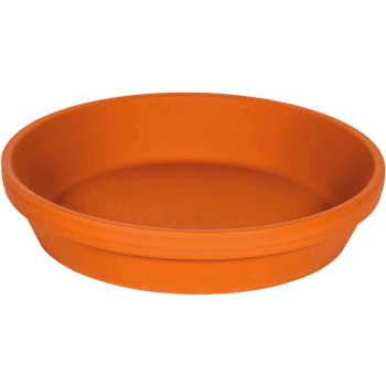 Terra Cotta Saucer