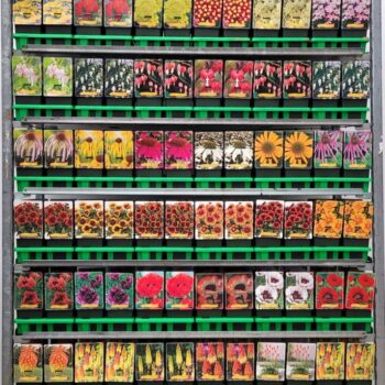 Vaste planten Mix CC