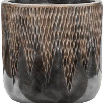 Baq Luxe Lite Universe Comet Cylinder Bronze