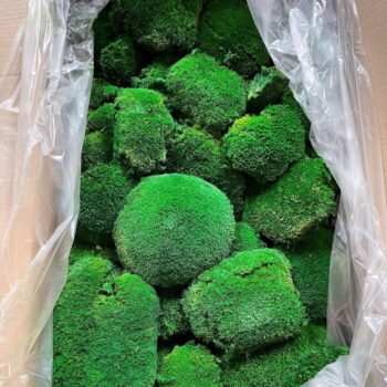 Bolmoss (2 layers) 3kg 0,75 m2