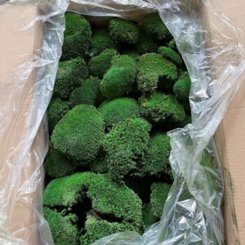 Bolmoss (2 layers) 3kg 0,75 m2