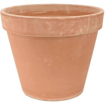 Terra Cotta Flowerpot Antiques