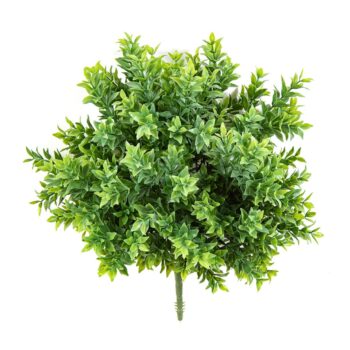 Tea leaf bush uv