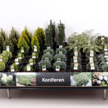 Tafelconcept Exclusief assortiment