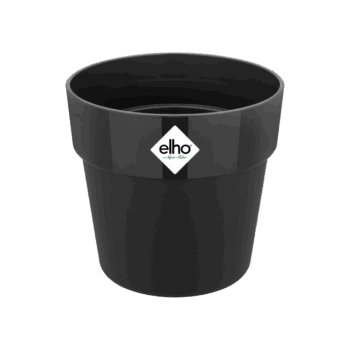 B.for original rond 14cm