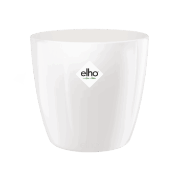 Brussels diamond rond 18cm