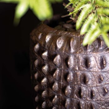 Croc floor planter, Ø 47 cm, height 56 cm, bronze