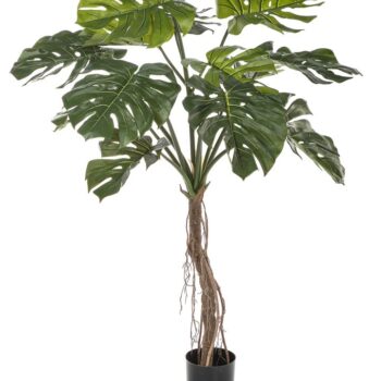 Split philo root tree