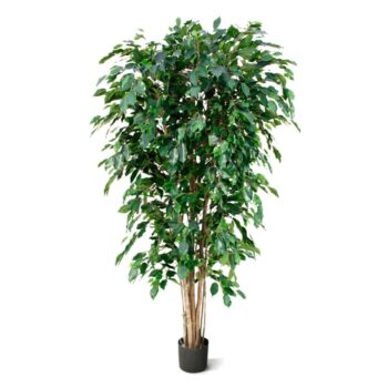 Ficus Exotica deluxe kunstboom  - groen