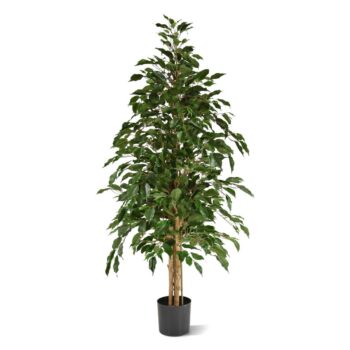 Ficus Exotica kunstboom  - groen