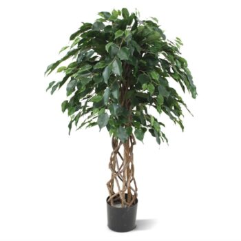 Ficus Exotica bol kunstplant op stam