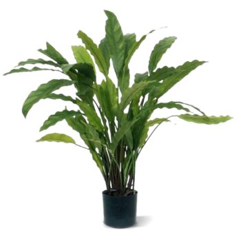 Calathea kunstplant  - groen