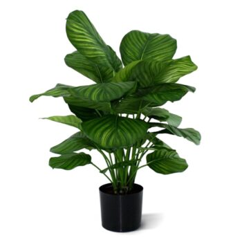 Calathea Fasciata kunstplant