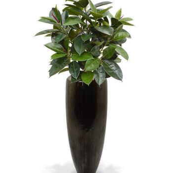 Elastica Robusta kunstplant  - groen