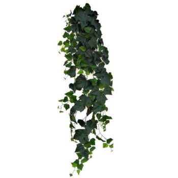 Hedera deluxe kunst hangplant