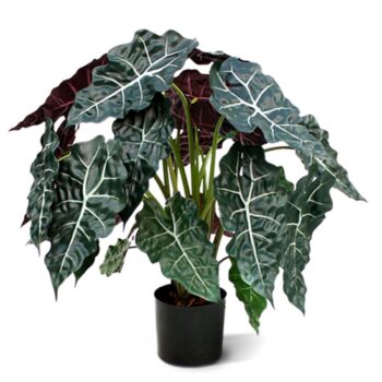 Alocasia kunstplant