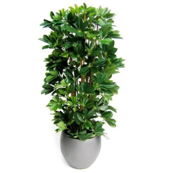 Schefflera kolom kunstplant