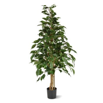 Ficus Exotica kunstplant  - groen