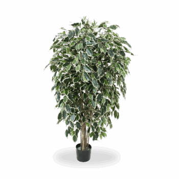 Ficus Exotica deluxe kunstboom  - bont
