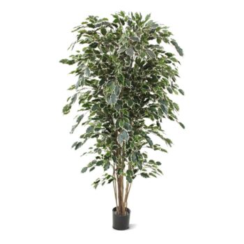 Ficus Exotica deluxe kunstboom  - bont