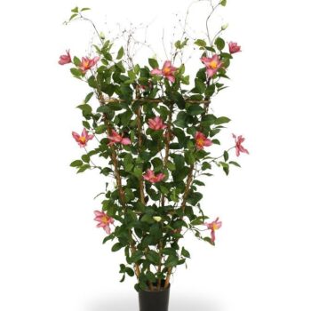 Clematis kunstheg  - rose