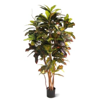 Croton deluxe kunstboom