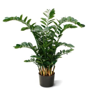 Zamioculcas XL kunstplant