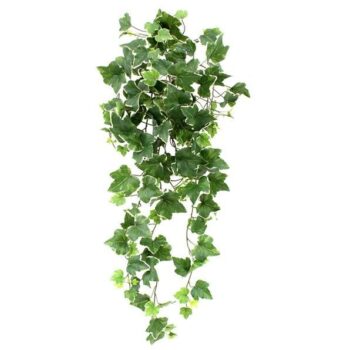 Hedera deluxe kunst hangplant  - bont