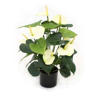 Anthurium deluxe kunstplant  - creme
