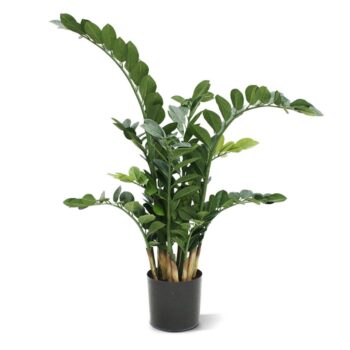 Zamioculcas kunstplant