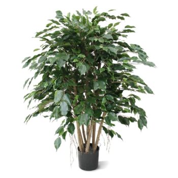 Ficus Exotica XL kunstplant