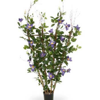 Clematis kunstheg  - paars