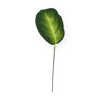 Dieffenbachia kunstblad