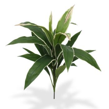 Draceana kunstplant  - bont