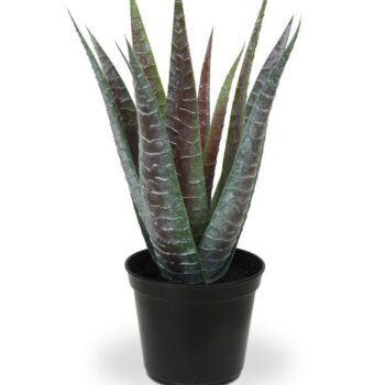 Aloë kunstplant