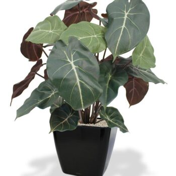 Syngonium kunstplant