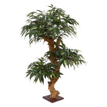 Shirakashi Bonsai x3 kunstboom op voet