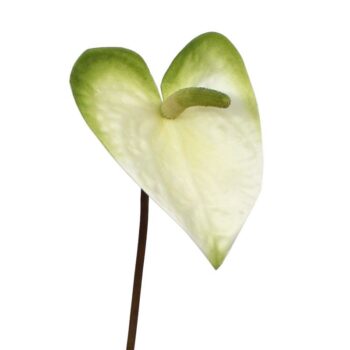 Anthurium kunstplant M  wit-groen